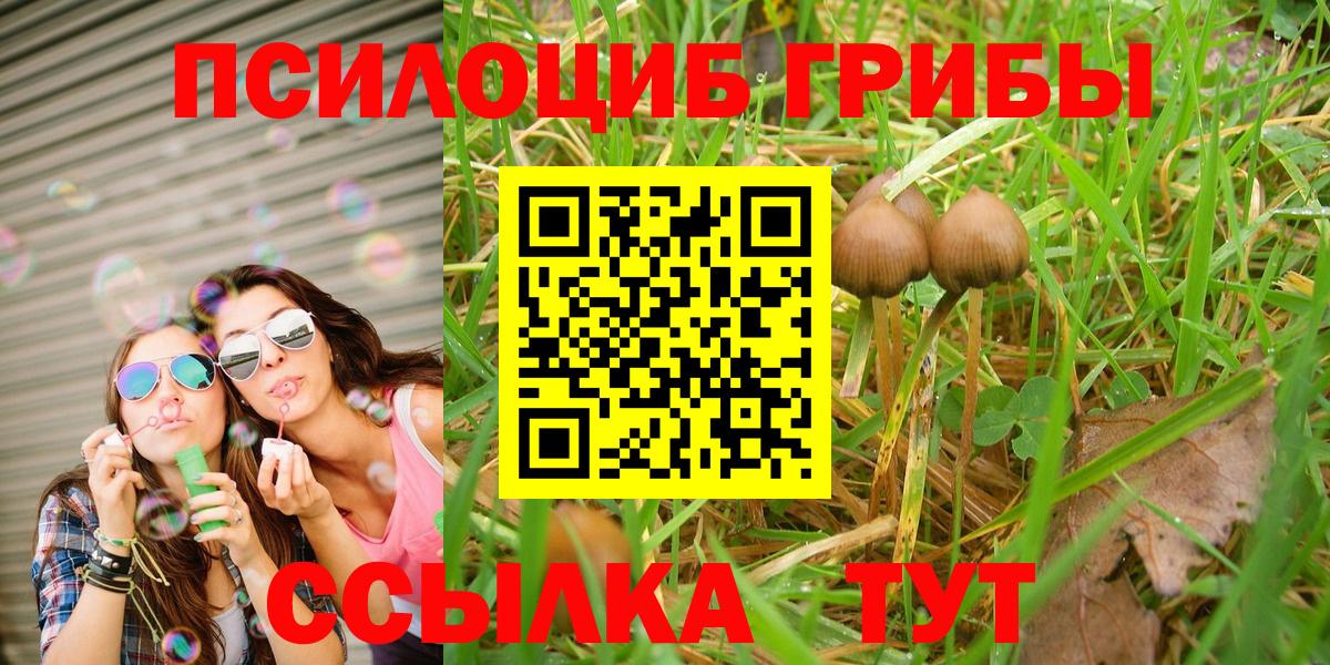 Югорск  Псилоцибиновые грибы MAGIC MUSHROOMS  Вход с VPN 